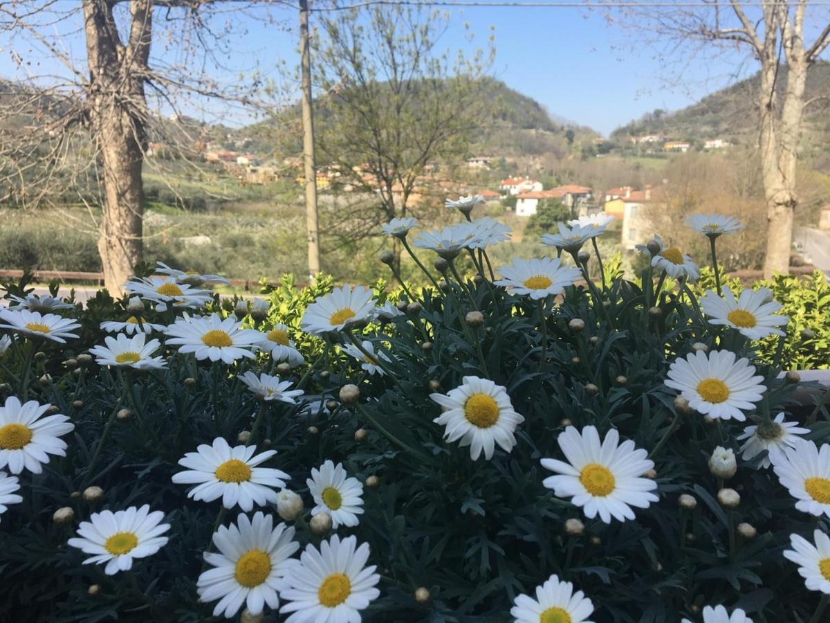 Belvedere Resort Ai Colli Galzignano Terme Dış mekan fotoğraf